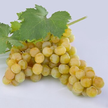 rumeno grozdje